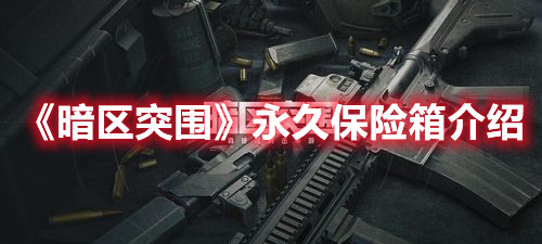 《暗区突围》永久保险箱介绍