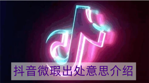 抖音微瑕是什么梗 抖音微瑕出处意思介绍