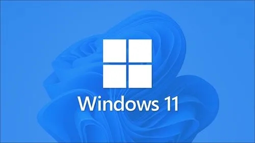 win11怎么看版本号-windows11查看系统版本号方法教程