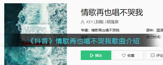 《抖音》情歌再也唱不哭我歌曲介绍