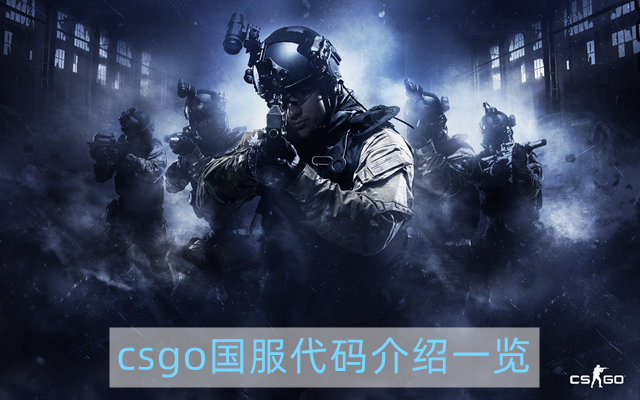 csgo国服代码是多少-国服代码介绍一览