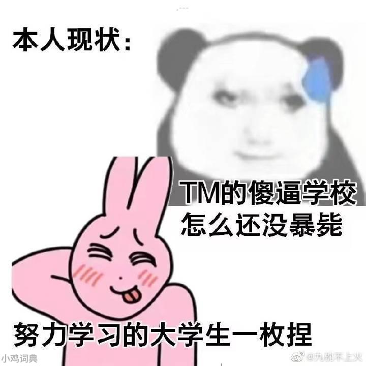 喜欢xx的小姐姐一枚呀是什么梗-抖音一枚xx的小姐姐吖梗出处意思介绍