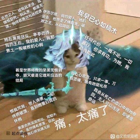 痛太痛了表情包-佛耶戈痛太痛了猫猫表情包无水印大全