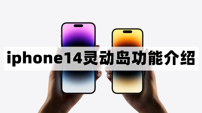 iphone14灵动岛是什么-苹果14灵动岛功能介绍