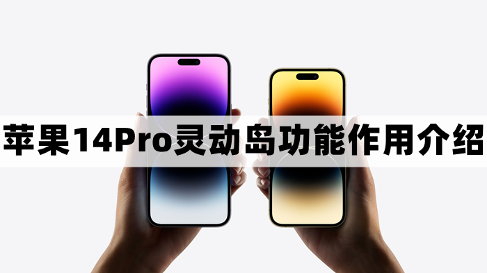 iPhone14Pro灵动岛是干嘛的-苹果14Pro灵动岛功能作用介绍