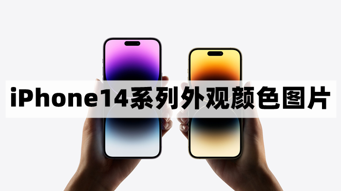 iPhone14有什么颜色-苹果14系列外观颜色图片