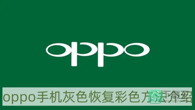 oppo手机灰色怎么改回彩色-oppo手机灰色恢复彩色方法介绍