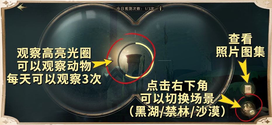 《哈利波特魔法觉醒》帐篷使用攻略