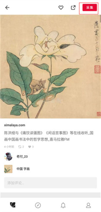 花瓣怎么收集素材