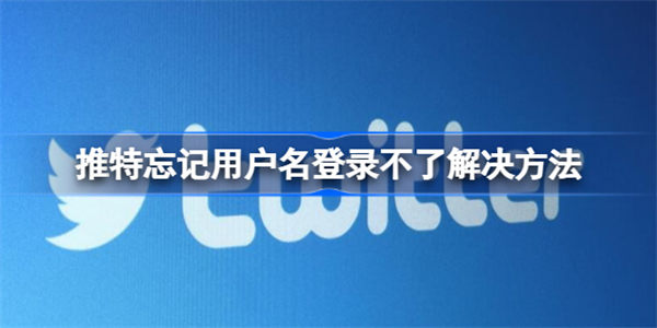 Twitter忘记用户名登录不了怎么办 Twitter忘记用户名登录不了解决方法