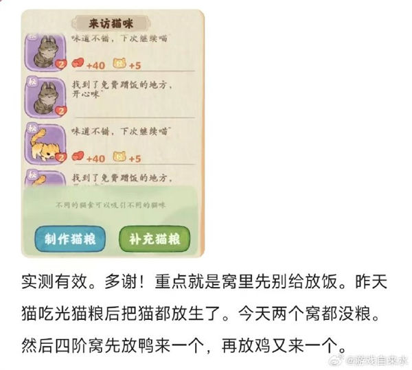 桃源深处有人家怎么找神秘猫