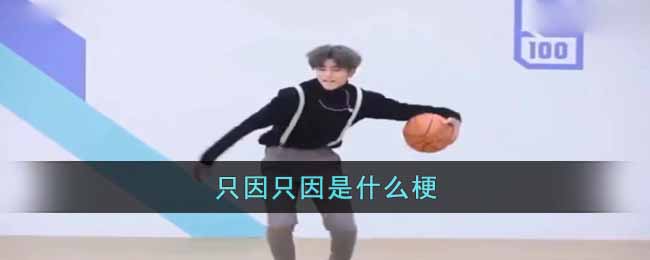 只因只因是什么梗 只因只因梗出处介绍