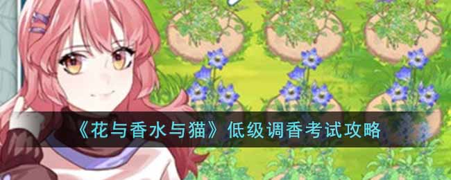 花与香水与猫低级调香考试怎么过 花与香水与猫低级调香考试攻略