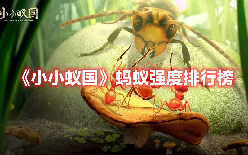 小小蚁国什么蚂蚁厉害 小小蚁国蚂蚁强度排行榜