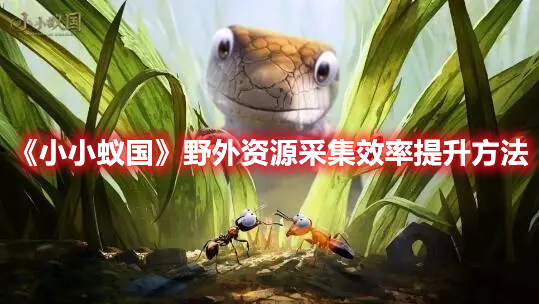 小小蚁国野外资源采集效率怎么提升 小小蚁国野外资源采集效率提升方法