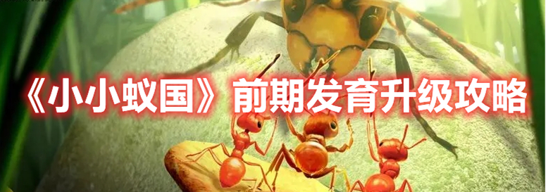 小小蚁国前期优先升级什么 小小蚁国前期发育升级攻略