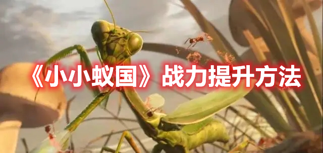 小小蚁国如何提高战力 小小蚁国战力提升方法