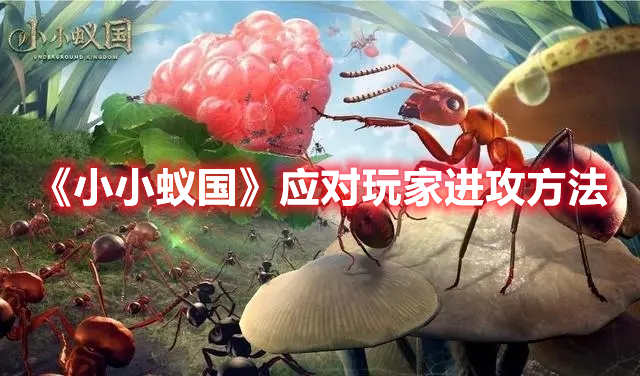 小小蚁国被其他玩家进攻怎么办 小小蚁国应对玩家进攻方法