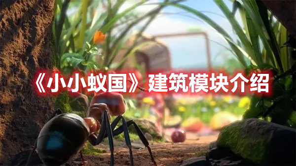 小小蚁国有什么建筑 小小蚁国建筑模块介绍