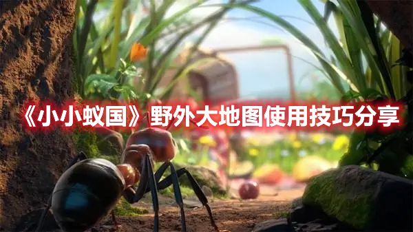 小小蚁国野外大地图有什么用 小小蚁国野外大地图使用技巧分享