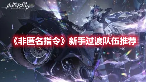 非匿名指令新手过渡队伍怎么搭配 非匿名指令新手过渡队伍推荐