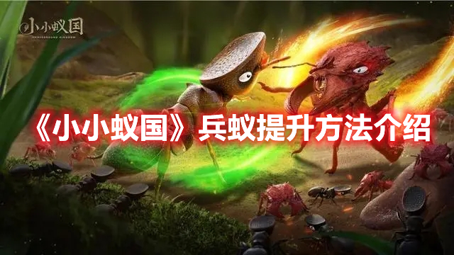 小小蚁国兵蚁怎么升级 小小蚁国兵蚁提升方法介绍