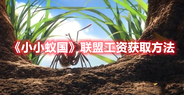 小小蚁国联盟工资怎么拿 小小蚁国联盟工资获取方法