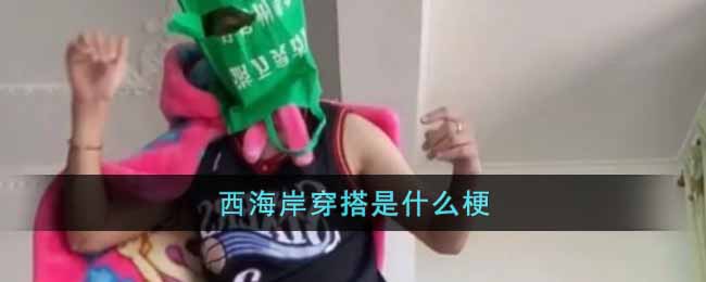 西海岸穿搭是什么梗 西海岸穿搭梗出处介绍