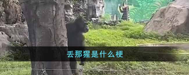 抖音南宁动物园丢那猩梗是什么意思 抖音丢那猩梗出处介绍