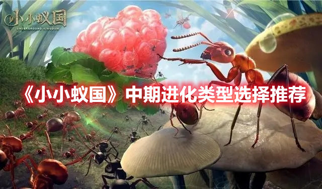 小小蚁国中期进化类型怎么选 小小蚁国中期进化类型选择推荐