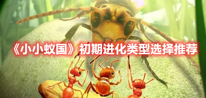 小小蚁国初期进化类型怎么选 小小蚁国初期进化类型选择推荐