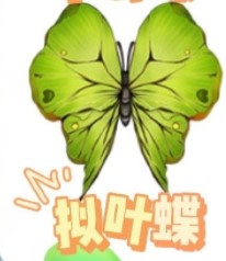 摩尔庄园手游拟叶碟怎么获得 摩尔庄园手游拟叶碟捕捉条件