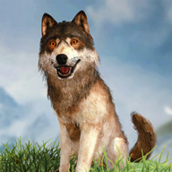 野狼模拟器3D安卓版