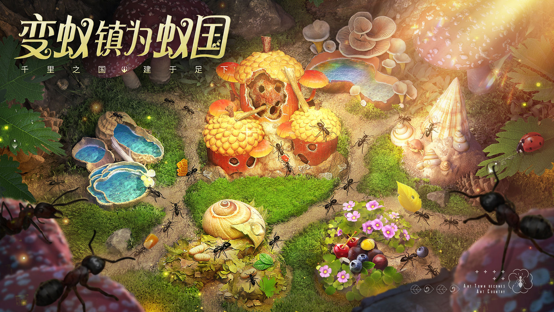 小小蚁国科技什么时候升级好 小小蚁国科技升级攻略