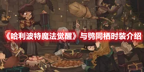 哈利波特魔法觉醒与鸮同栖时装介绍 哈利波特魔法觉醒与鸮同栖时装一览