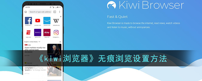 kiwi浏览器怎么无痕浏览 kiwi浏览器无痕浏览设置方法