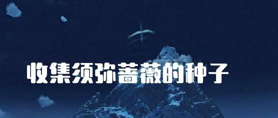 原神收集须弥蔷薇的种子任务怎么做 原神收集须弥蔷薇的种子任务图文攻略