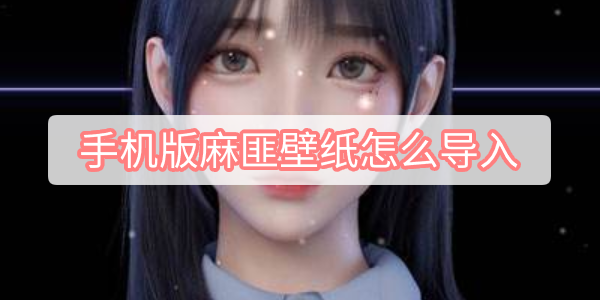 手机版麻匪壁纸怎么导入 麻匪壁纸mpkg怎么导入攻略