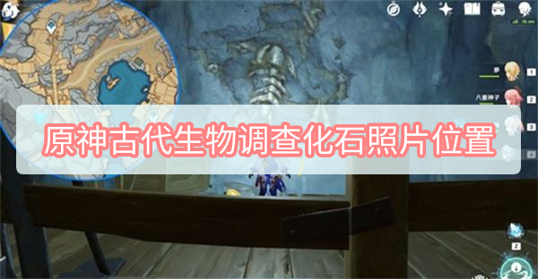 原神古代生物调查化石照片位置在哪里 原神古代生物调查化石照片位置