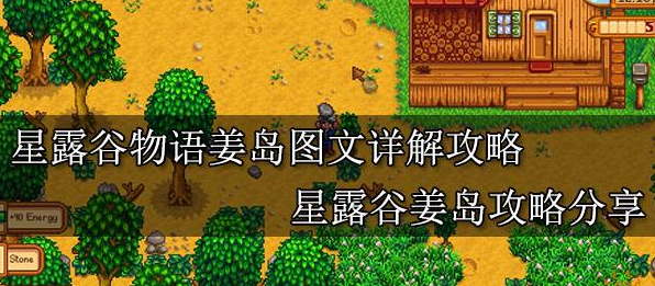 星露谷物语姜岛怎么去 星露谷物语姜岛攻略