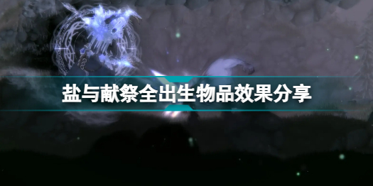 盐与献祭出生物品有什么 盐与献祭全出生物品说明效果一览