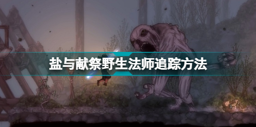 盐与献祭野生法师怎么找到 盐与献祭野生法师追踪方法