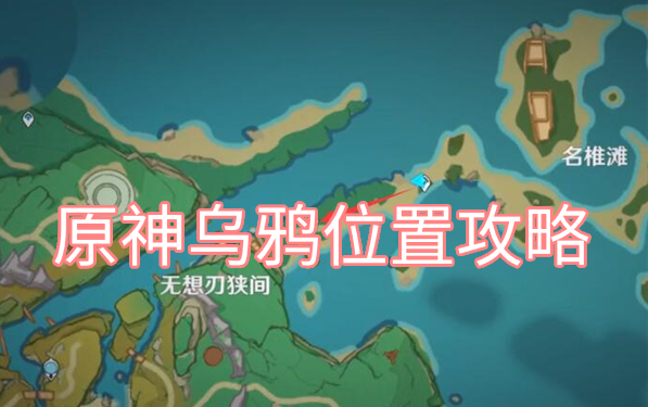 原神乌鸦在哪 原神乌鸦位置攻略