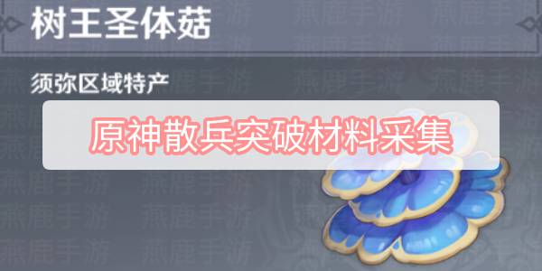 原神散兵突破材料采集 原神散兵流浪者突破材料树王圣体菇位置攻略