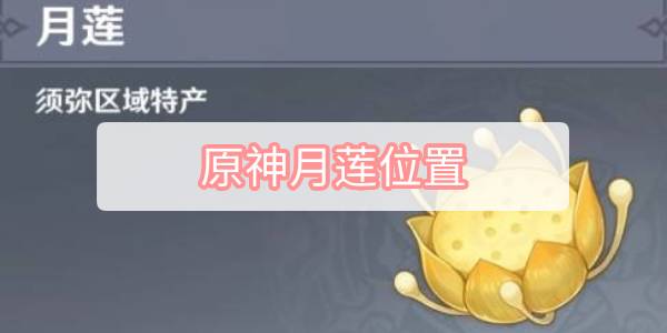 原神月莲位置 原神月莲位置采集路线攻略