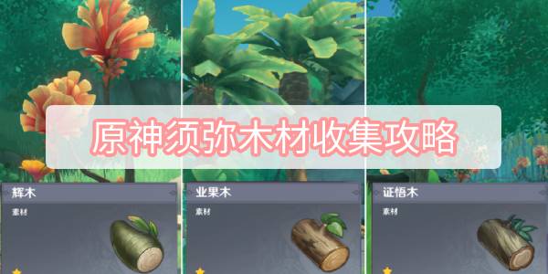 原神须弥木材收集攻略 原神须弥木材全收集图文攻略