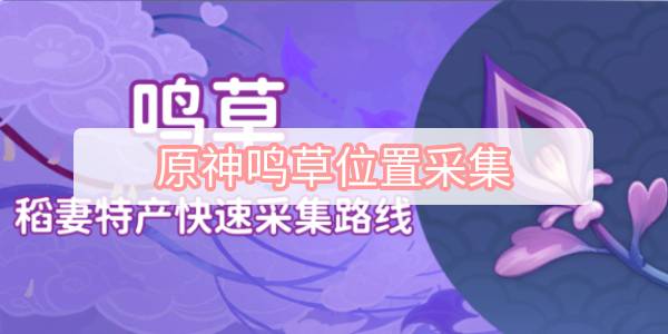 原神鸣草位置采集 原神稻妻鸣草位置及采集路线图文攻略