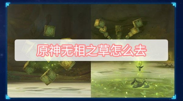 原神无相之草怎么去 原神3.2无相之草位置攻略