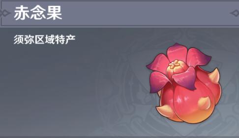 原神赤念果在哪采集 原神赤念果采集路线推荐