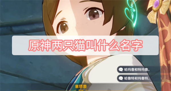 原神两只猫叫什么名字 原神塞塔蕾的猫名字答案一览